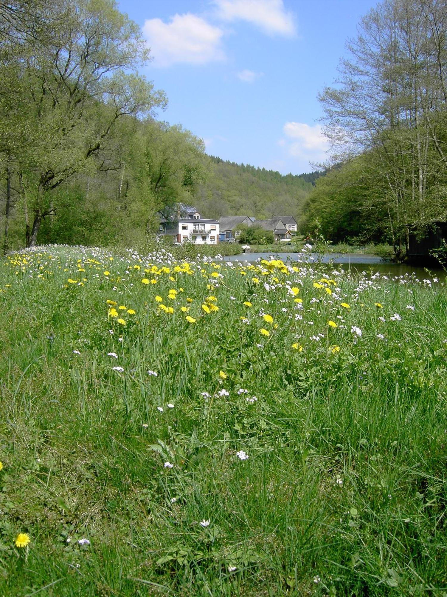 Apartmán Pulgersmuehle, Eg Altstrimmig Exteriér fotografie